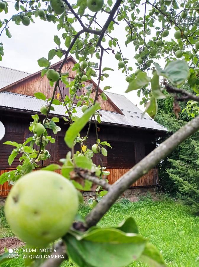 Gospodarstwo Agroturystyczne U Stasikow Spytkowice  Exteriér fotografie